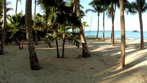 Aerial view of palm trees, over the beach to a a luxury yacht. Bahamas. Exumas. Stock Footage 77762069