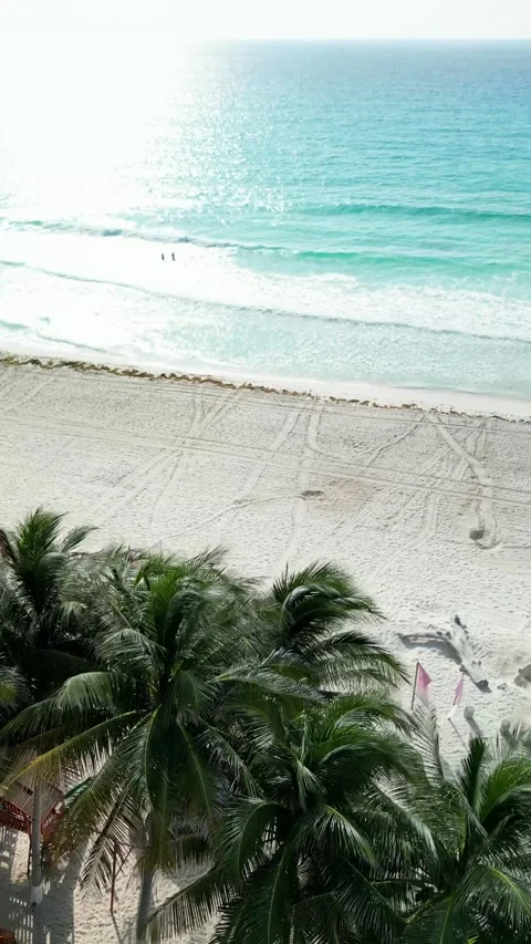 Aerial view of palm trees over an empty white sand beach in Cancun Stock Footage 342090337
