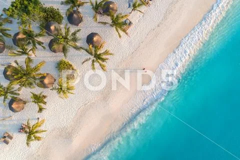 Aerial view of palms on the sandy beach of Indian Ocean at sunset Stock Photos