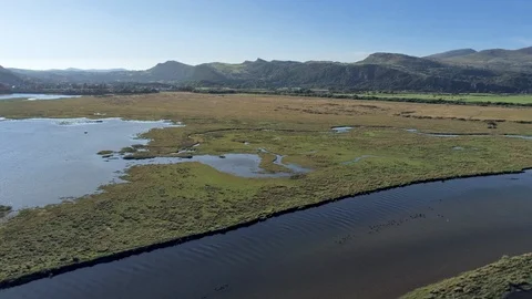 Aerial view, pan move. Drone panorama over Glaslyn reserve wetlands, birds an Stock Footage 94244618