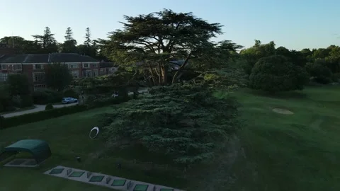 Aerial view pan shot of tree in country grounds, sunset reveal Stock Footage 234405307