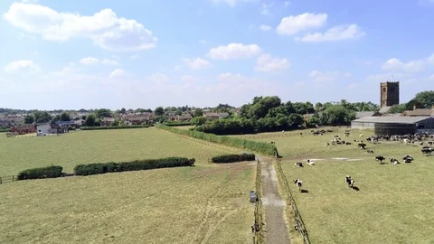 Aerial view. panning move. Small town Tarvin, single track, cows, fields. Stock Footage 93011601