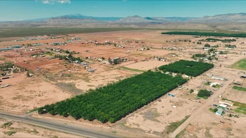 Aerial View Panning Over Small Pecan Orchard in Tularosa New Mexico Stock Footage 281980205