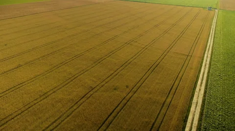 Aerial view panning of wheat fields Stock-Footage 44972800