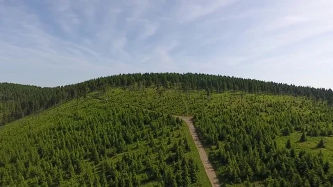 Aerial View. Panorama. Flight over a green grassy in mountains. Stock Footage 77320385