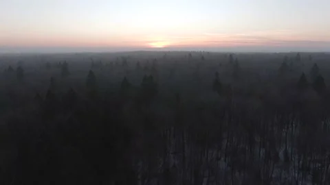 Aerial view panoramic landscape forest in fog in winter at dawn Stock Footage 144982362