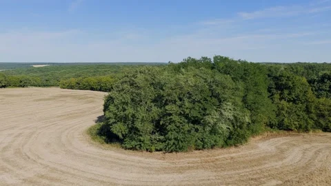 Aerial view of a panoramic view of agricultural fields and dense green forests Stock Footage 346680138