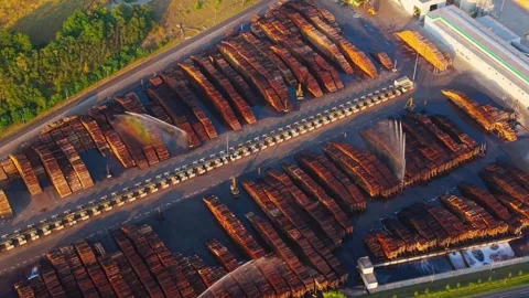 Aerial view of paper mill log yard in Steti, Czechia. Stock Footage 344996324