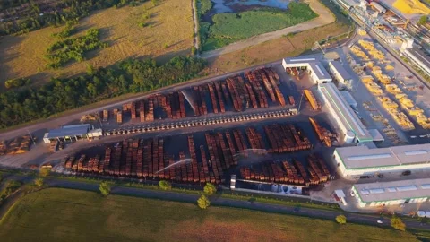 Aerial view of paper mill log storage in Steti, Czechia. Stock Footage 344996329
