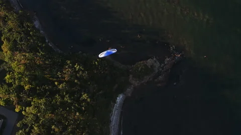 Aerial view of a paraglider with an engine flying by the coast of the sea Video stock 162361621