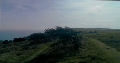 Aerial view of paragliders at Beachy Head, Southern England Stock Footage 80620868