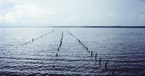 Aerial view of parallel rows of wooden posts in gray lake water. Video stock 323434806
