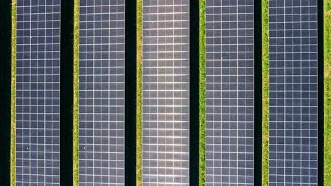Aerial View of Parallel Solar Panel Rows with Green Vegetation Fotos Stock