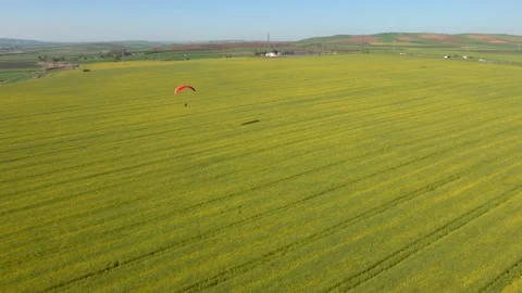 Aerial view of paramotor flying over canola fields, Tekirdag, Turkey. Vidéo 199696021