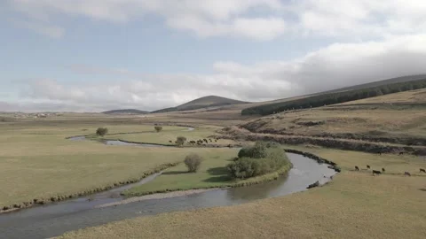 Aerial view of Paravani river floating in Saghamo Lake. Georgia 動画素材 161098898