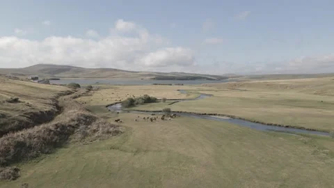 Aerial view of Paravani river floating in Saghamo Lake. Georgia Stock-Footage 161099251