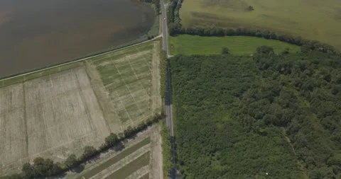 Aerial view of Parc des Oiseaux with greenery, France. Stockbeeldmateriaal 284842695