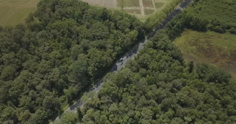 Aerial view of Parc des Oiseaux and forest, France. Stockbeeldmateriaal 284842744