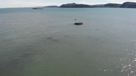 Aerial view of Parc  Du Bic in Canada Stock Footage 142705522