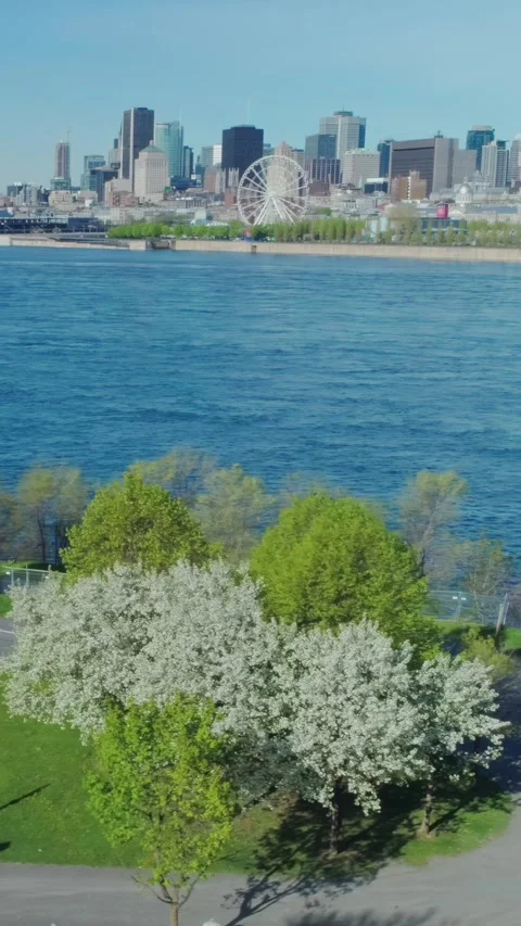 Aerial view of Parch Jean Drapeau, Montreal, CA, with a river and park. Stock Footage 315075970