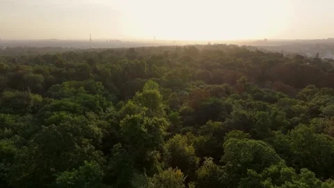 Aerial view of Paris - Eiffel Tower from St Cloud at sunrise in september 07 Stock Footage 307384663