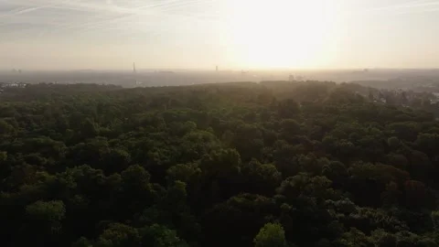 Aerial view of Paris - Eiffel Tower from St Cloud at sunrise in september 09 Stock-Footage 307384673