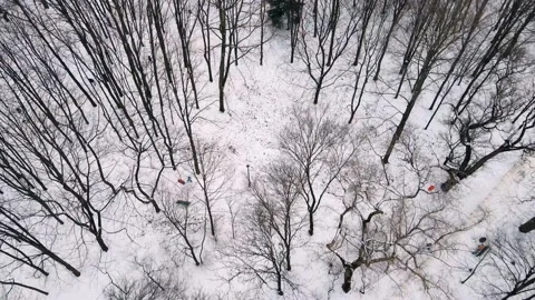 Aerial view of park and trees covered in snow. Stock Footage 218983151