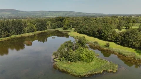 Aerial View of Park Lake With Tree Covered Island and Reflections 库存影片 332673106
