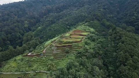 Aerial view of park in the mountain Stock Footage 291701885