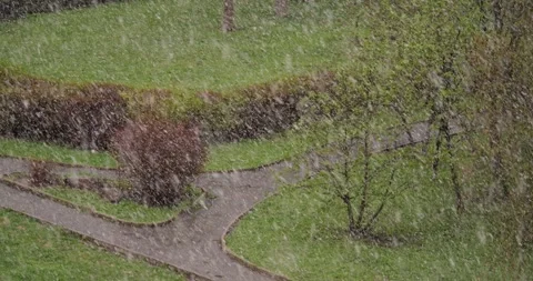 Aerial view of a park pathway surrounded by lush greenery and blooming shrubs, Stock Footage 317559068