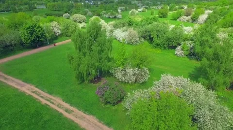 Aerial view of park with river Stock Footage 63137481