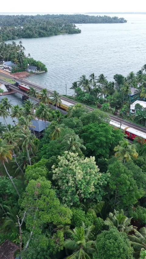 Aerial view of passenger train moving through tropical forest along lake Video stock 343860803