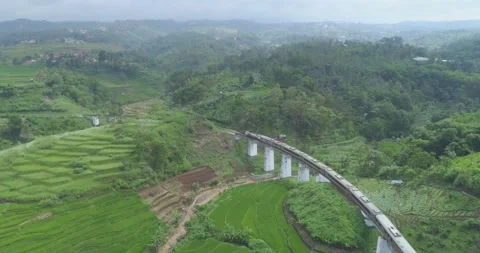 Aerial View of Passenger Train Passing by a Curved Rail and Rice Field Stock Footage 131103764