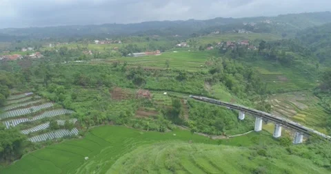 Aerial View of Passenger Train Passing by a Curved Rail and Rice Field Stock Footage 131104653