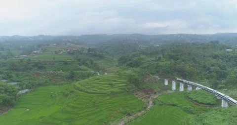 Aerial View of Passenger Train Passing by a Curved Rail and Rice Field Stock Footage 131108441