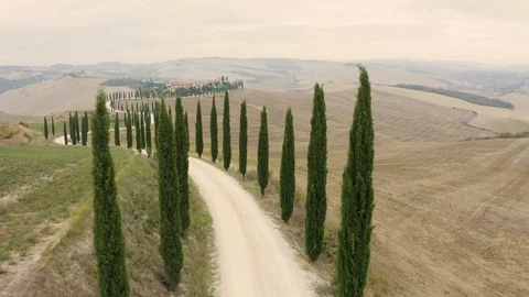 Aerial view passing by of small road crossing mountain countryside, Italy. Stock Footage 103063319