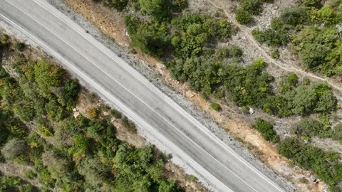 Aerial view passing through asphalt road with a single car Stock Footage 289581313