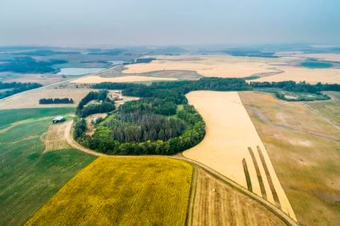 Aerial view of a patch work of different crops in a field, including sunflowers Fotos de archivo