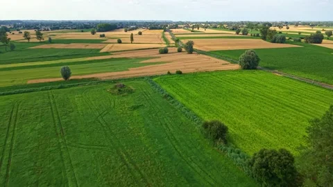 Aerial view of patchwork agricultural fields in French countryside Stock Footage 340600427