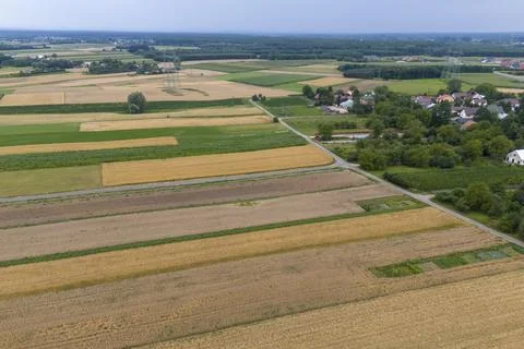 Aerial view of patchwork agricultural fields and rural houses surrounded by 写真素材