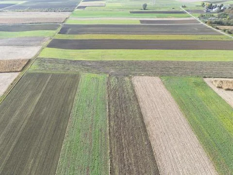 Aerial view of patchwork agricultural fields showcasing vibrant colors of crops Fotos de archivo
