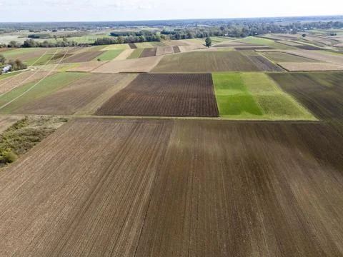 Aerial view of patchwork agricultural fields showcasing various crops with 스톡 사진