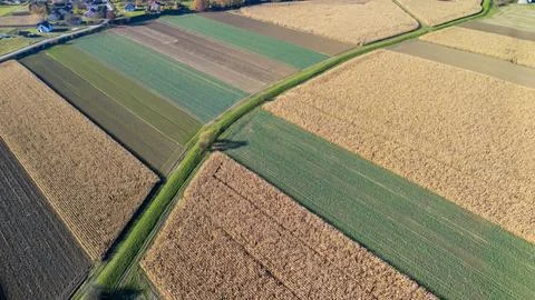 Aerial view of a patchwork of agricultural fields in autumn. The landscape Fotos de archivo