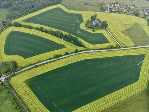 Aerial view of patchwork agricultural fields with country lane 스톡 사진