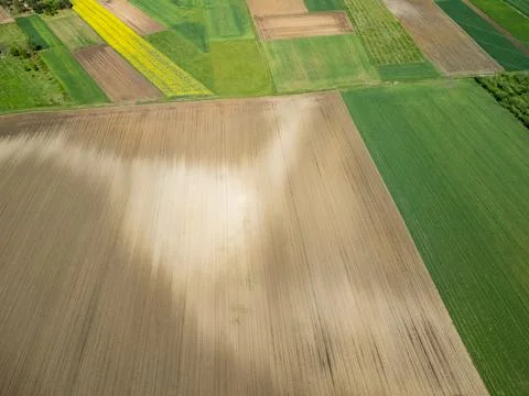 Aerial view of patchwork agricultural fields with vibrant yellow rapeseed crop Stock Photos