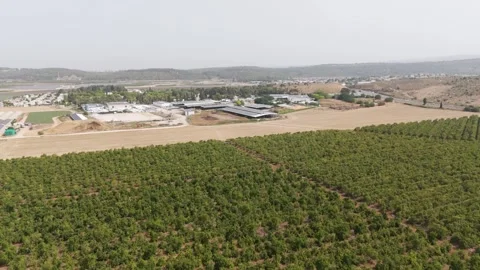 Aerial view of patchwork agricultural plots, Yas'ur, North District, Israel. Stock Footage 313126724
