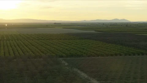 Aerial view patchwork crops fields growing sunset America Stock Footage 91546819