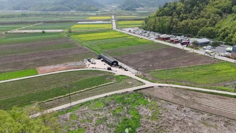 Aerial View of Patchwork Farmland and Country Roads in Rural South Korea 動画素材 325653907