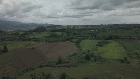 Aerial View of Patchwork Farmland and Banana Plantation Under Heavy Dark St.. 動画素材 337883684