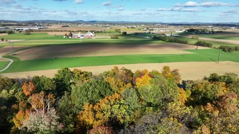 Aerial view of patchwork farmland with autumn trees in the foreground in Stock-Footage 256990071